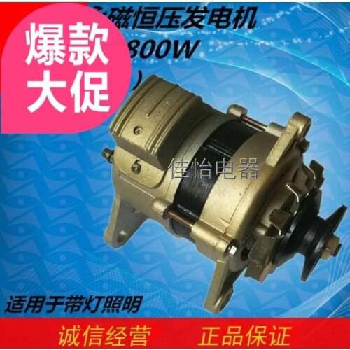 220v High-Power Small Generator 800W Permanent Magnet Brushless Constant Pressure Household Fine Copper Wire Core