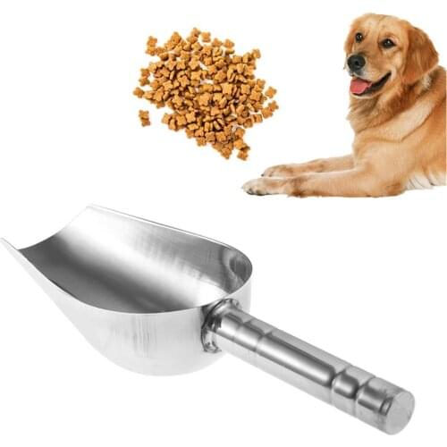 1 Pcs Stainless Steel Ice Scraper Food Buffet Candy Bar Scoops Shovel Kitchen Gadgets And Accessories Tablespoon Sugar Scoop