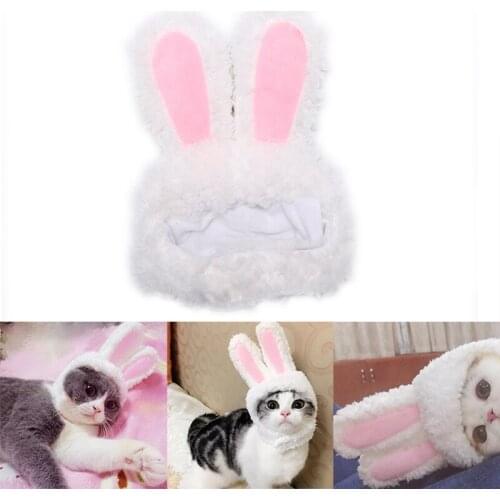 Одежда для кошек N2HAO China At AliExpress