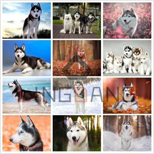 5D DIY Diamond Embroidery Mosaic Animal Dog Husky Diamond Painting Full Square Round Drill Cross Stitch Kits Handmade Home Decor