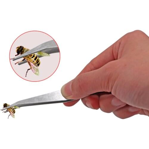 Beekeeping Tweezer Bee Hive Trap Bee Forceps Bee Larvae Pupae Transfer Special Tweezers For Bees Beekeeping Supplies