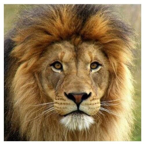 14CT Unprinted Lion Crafts Forest Animals For Embroidered Handmade Arts Quality Counted Cross Stitch Kits Set Deco Wall Home