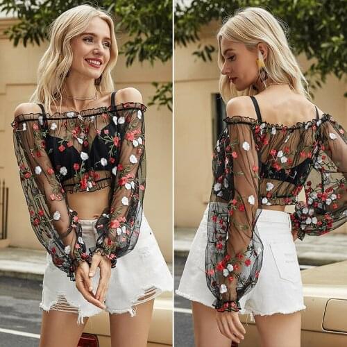 Womens Embroidery Mesh Slim Transparent Sheath Long Sleeve Black