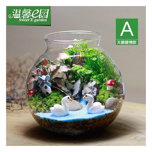 E cozy garden moss bottle micro landscape ecology Totoro Hayao Miyazaki series of creative gift plants
