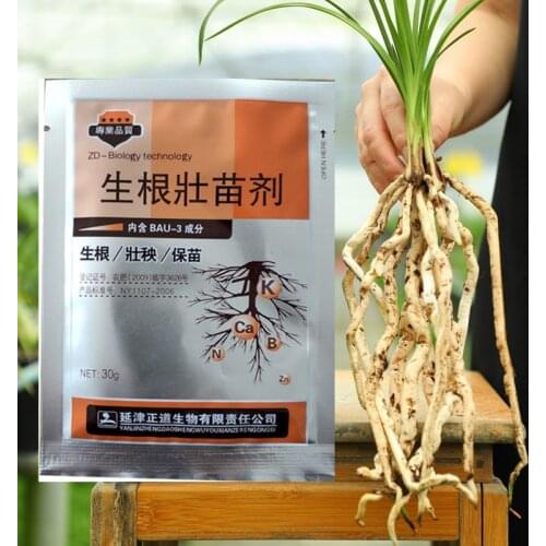 30g Rapid rooting powder plant growth regulator for Seedling bonsai tree cutting rooting hormones foliar fertilizer Plant Food