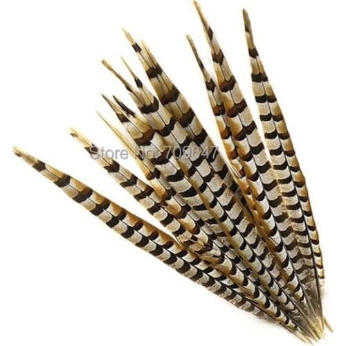 Feather Pheasant Venery Reeve 16-18inches 40-45CM-50pcs per lot - Craft Millinery Fly Fishing,Loose Reeves Tail Feathers