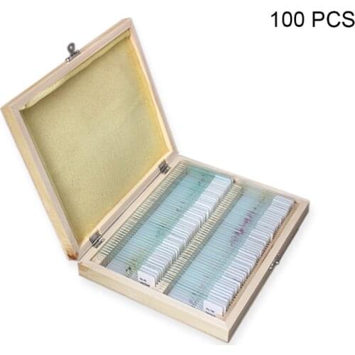 H7JB Microscope Slides 25/50/100 Pcs-Microscope Slides Prepared With Lab Specimens Biological Sample with Insects Plants