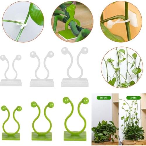 Invisible Wall Vines Fixture Wall Sticky Hook Vine Plant Fixer plant climbing wall clip plant climbing wall fixture/high quality