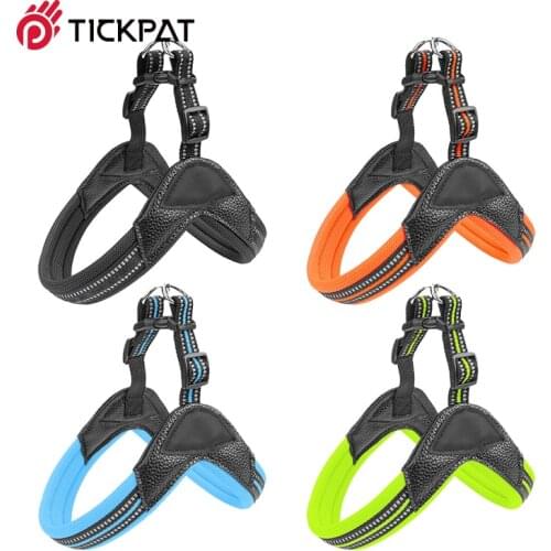 Tickpat Animal Decorations