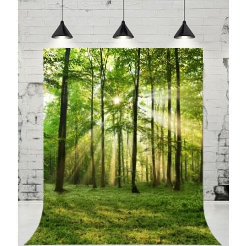 VinylBDS Spring Scenery Photography Backdrop Sunlight Forest Background Nature Children Photo Outdoor Wedding Photo for Studio