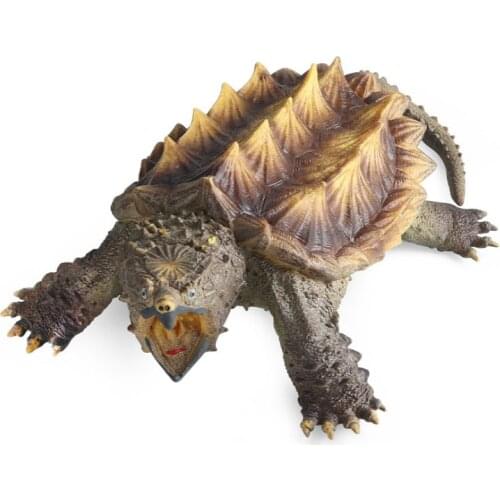 Simulation Freshwater Animal Model Large Crocodile Turtle Tortoise Childrens Cognitive Bio-model Toys for Boys and Girls