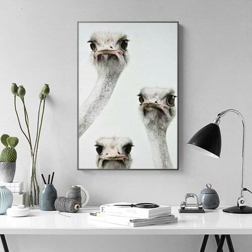 RELIABLI ART Canvas Paintings Animal Birds Pictures Wall Art Ostriches Posters For Living Room Decoration Prints No Frame