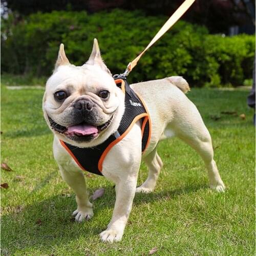 Dog Harness Vest Training for Chihuahua Puppy Soft Mesh Pet Harness For Dogs Cats Pet shop Puppy Collar Cat Pet Dog Chest Strap