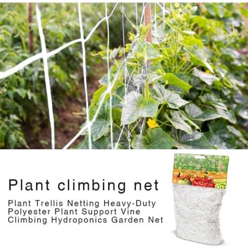 Mesh 10m Polyester Net Loofah Netting For Morning Glory Vine Flowers Garden Plants Climbing Net Cucumber Vine Grow Holder