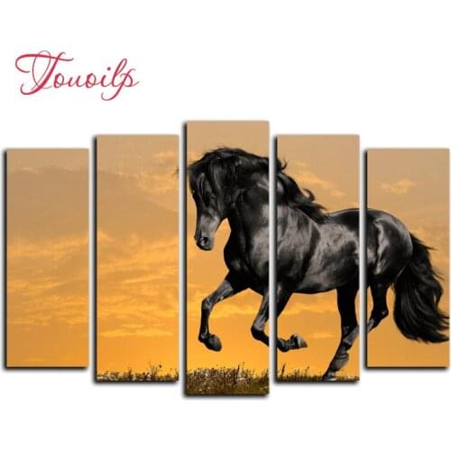 5pcs,Full square&round DIY Black horse 5d Diamond Painting Cross Stitch Diamond Embroidery Patterns rhinestones Diamond Mosaic