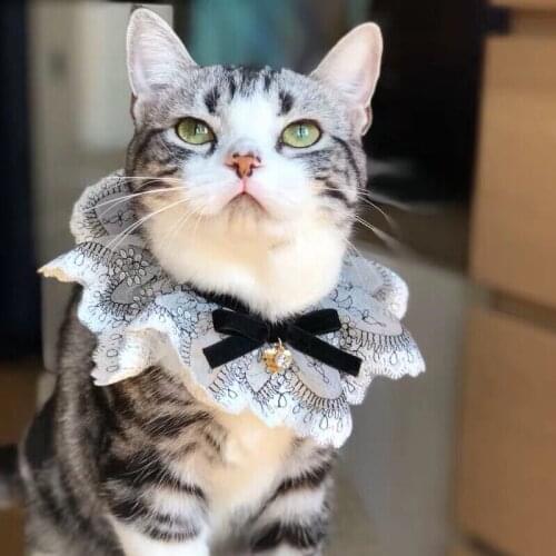 Pet accessories Custom-made vintage lace bib for dogs, collars and Cats Tie Puppy lace decorated with bows