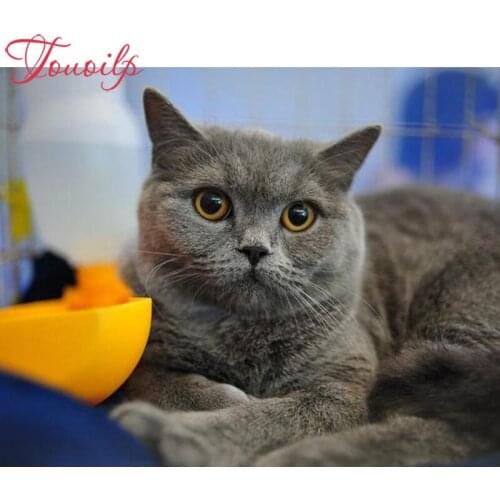 Mosaic needlework 5D diy diamond painting De Liefdevolle Kat picture child cross stitch square rhinestone drill embroidery patch