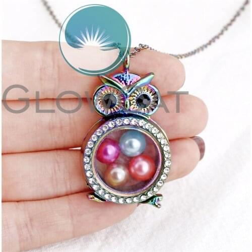 Rainbow Owl Floating Locket Necklace Rhinestone Charms Magnetic Living Memory Glass Locket Pendant Necklace