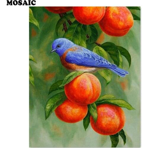 DIY Diamond Embroidery Painting Diamond Mosaic Pattern pictures of the diamonds Full Square 5D Diamond Painting Fruit