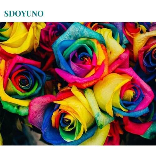 SDOYUNO 60x75cm Paint By Numbers Kits Colourful Rose DIY Painting By Numbers On Canvas Frameless Digital Hand Painting Home Deco