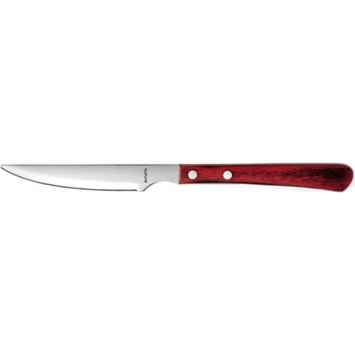 Knife for Chops Amefa Brasero (24 cm)