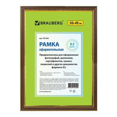 BRAUBERG Canvases