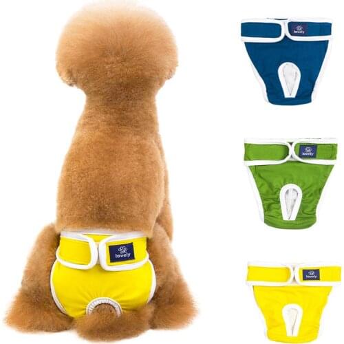 LanLan Briefs For Dogs