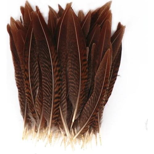 50pcs/lot beautiful Lady Amherst Pheasant Tail feathers 15-20cm/6-8inches carnival Christmas DIY plume