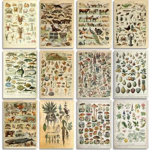 Vintage Vegetables Fruits Animal Canvas Painting Nordic Wall Art Posters and Prints Home Living Room Decoration Accessories