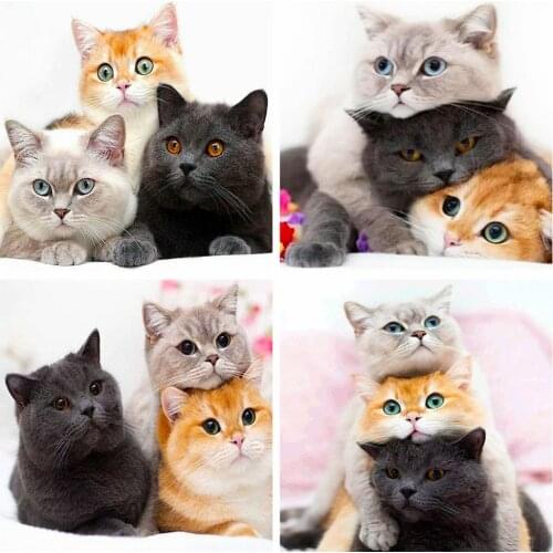 Huacan Diamond Art Painting Kits Animal 5d Diamond Embroidery Cross Stitch Cat Mosaic Childrens Room Decor