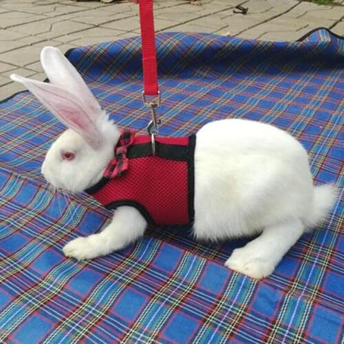 Pet Mesh Soft Harness With Leash Small Animal Vest Lead for Hamster Rabbit Bunny SCVD889