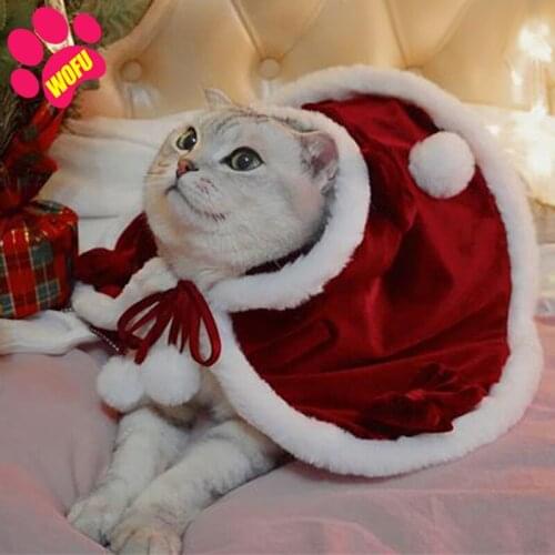 WOFUWOFU Halloween Pet Costume Set, Fairy tale little red riding hood ，Cat Puppy Cosplay Party Supplies