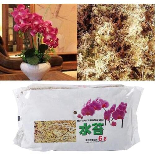 6L Moss Garden Supplies Moisturizing Nutrition Organic Fertilizer For Phalaenopsis Orchid Musgo Sphagnum Flowerpot