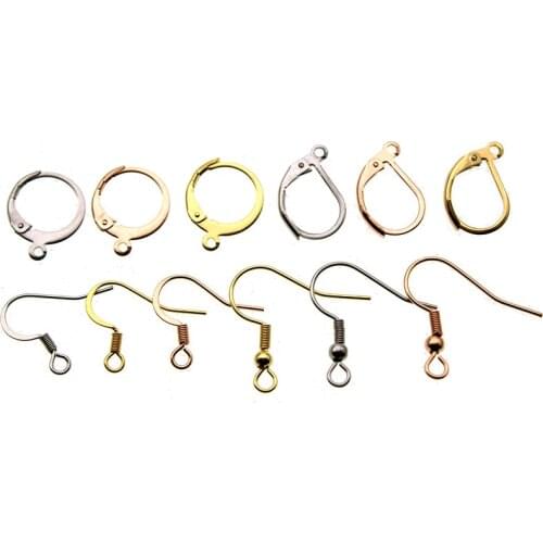 20pcs 316L Surgical Stainless Steel Rose Gold Silver French Earring Hooks Ear Wires Clasps Settings Base for DIY Jewelry Making