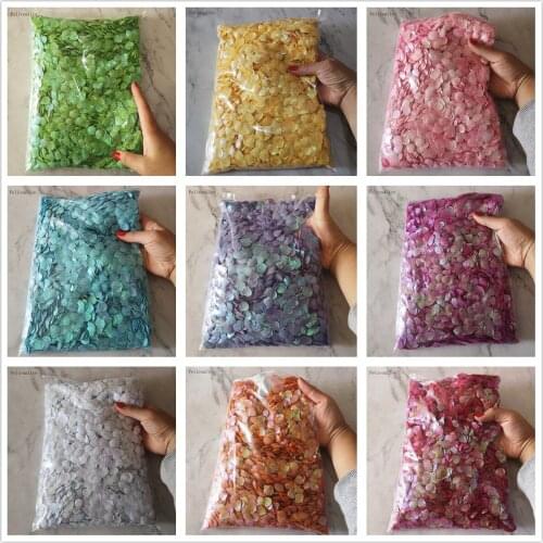 500g 10 COLORS 12*13mm PVC Loose Sequins Sewing Embellishment Finding 2 Holes Shell Shape Paillette DIY Garment Accessories