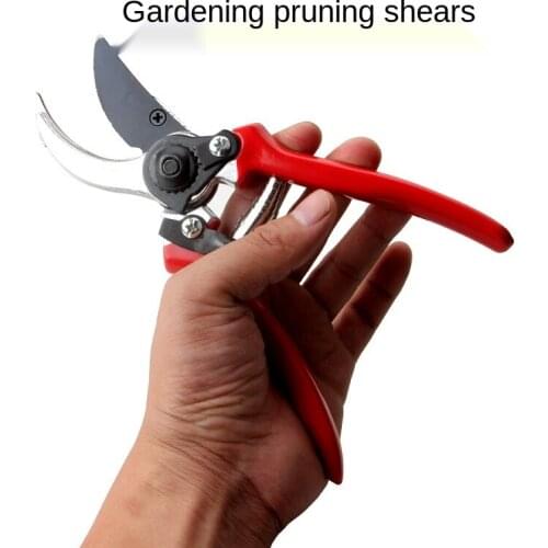 Pruning Branch Scissors Pruning Garden Coarse Branch Fruit Tree Cut Flowers Bonsai Garden Flower Strong Floral Scissors Plant
