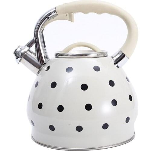 Kitchen special 3.5L capacity stainless steel non-magnetic flat-bottom spray color with dot whistle kettle