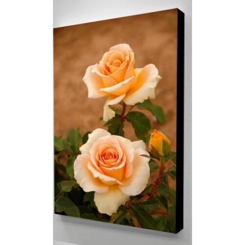 Canvas HD Printed Bright Flowers Beautiful Poster Home Decor Gift Painting Wall Art Picture For Living Room Modular No Framed