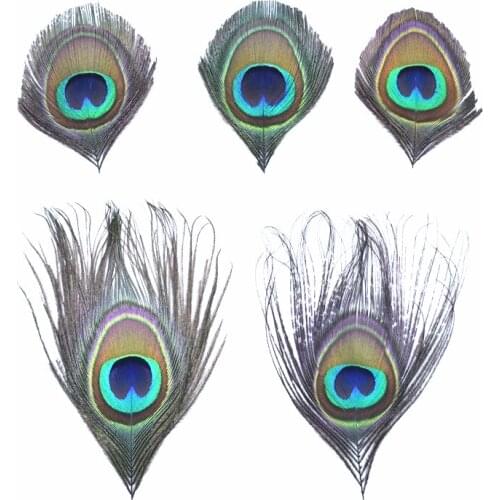 10Pcs Natural Rare Peacock Feathers Eye Feathers for Crafts Decoration Pheasant Feather Decor Jewelry Carnival Accessories Plume
