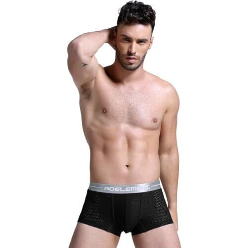 Sexy Mens Boxers Underwear Gay Mesh Panties For Man Trunk Breathable Ice Silk Pouch Underpants Male Boxershorts Cueca Plus Size
