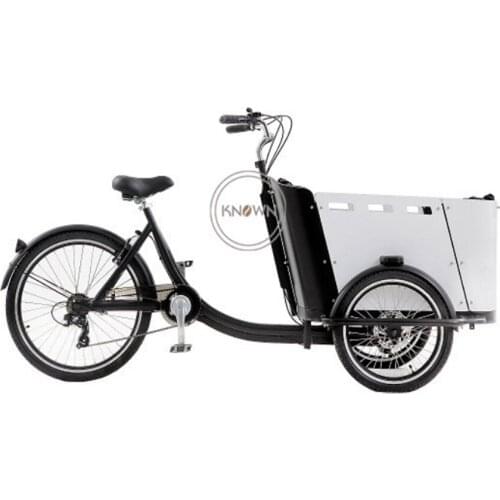2021 New Bicycle Pedal Adult Tricycle 3 Wheels Electric Cargo Bike with 250W Rear Motor for Carrying Kids Pets for Sale