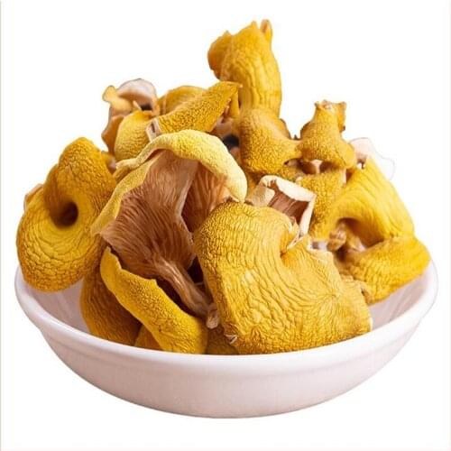 Hot selling 100% Natural Chanterelle Mushrooms, Ji,you jun, healthy organic products