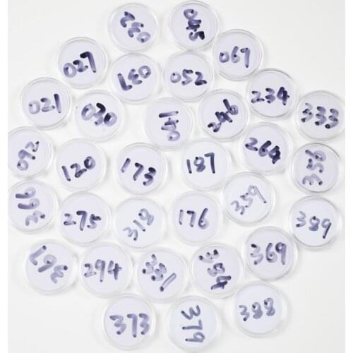 Animal Crossing Card (391 to 400) NFC 215 Card Work for NS Games Series 1