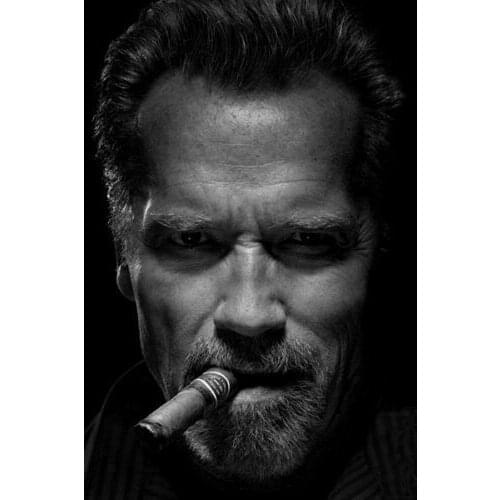 Arnold Schwarzenegger Cigar Smoking Movie Star Art Film Print Silk Poster Home Wall Decor 24x36inch