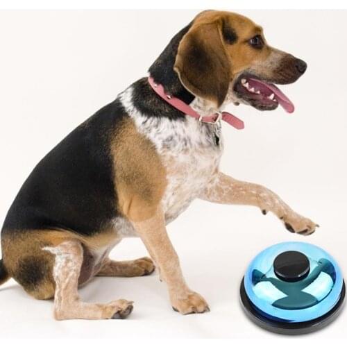 Kapmore 1pc Pet Training Bell Toy Interactive Plastic Funny Dog Call Bell Service Bell For Cats Pet Supplies Pet Accessories