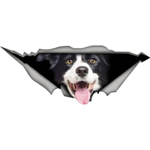 Personality Border Collie Car Sticker Pet Dog Decal Waterproof Car Styling Animal Sticker Vinyl Decal Decoration Apply To Car
