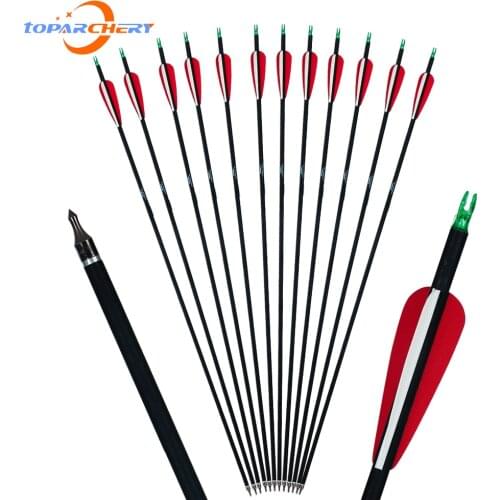 Carbon Arrows Archery Arrow Spine 500 31.5 Inch with Replaceable Arrowhead for Recurve/Compound Bow for Outdoor Shooting Hunting