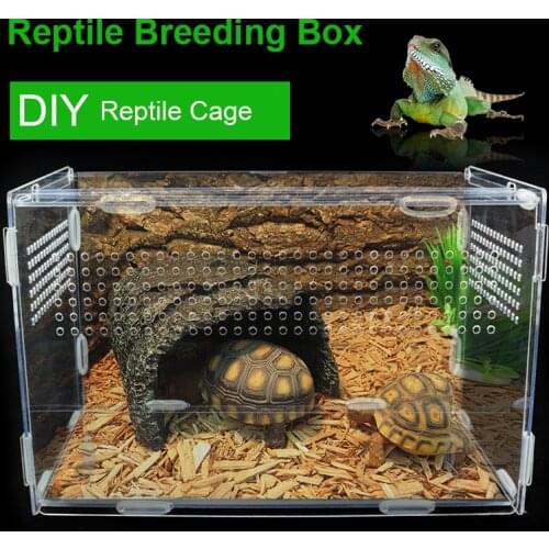 Acrylic Reptile Snake Spider Lizard Scorpion Centipede Horned Frog Gecko Beetle chameleon Insect Breeding Box