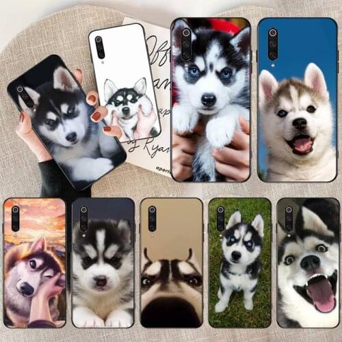 Cute Siberian Husky dog Phone Case for Xiaomi Mi Note 10 Lite Mi 9T Pro xiaomi 10 10 CC9 Pro 9SE