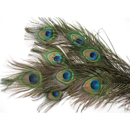 50pcs selected Natural Peacock Feathers - stems 12 inch long with eyes about 1-1.5"